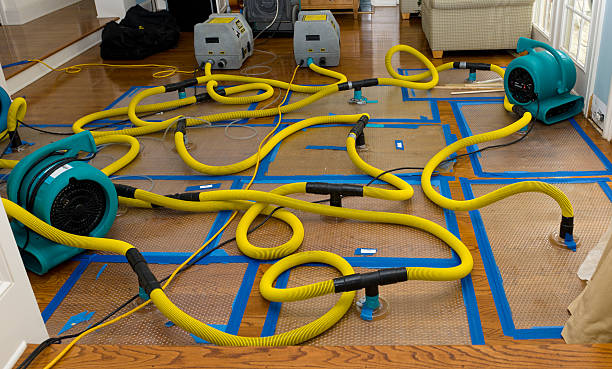 Professional Crawl Space Water Removal technician working in Timber, OR